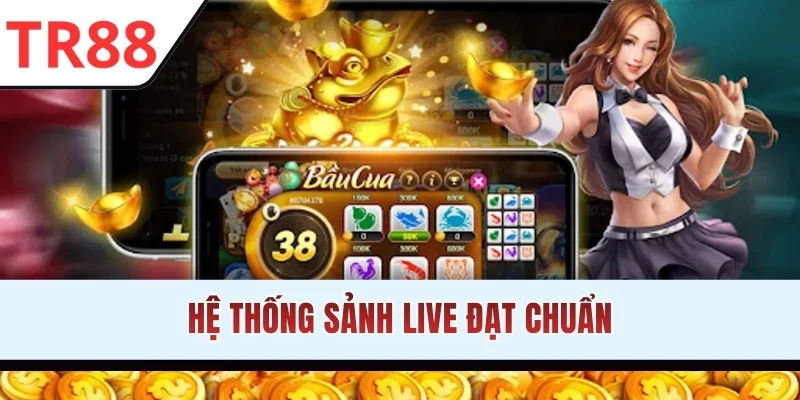 Hệ thống sảnh live đạt chuẩn